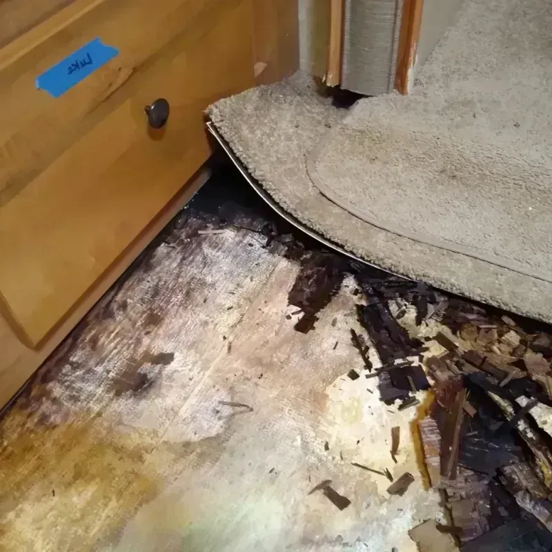 Wood Floor Water Damage in Fishers, IN